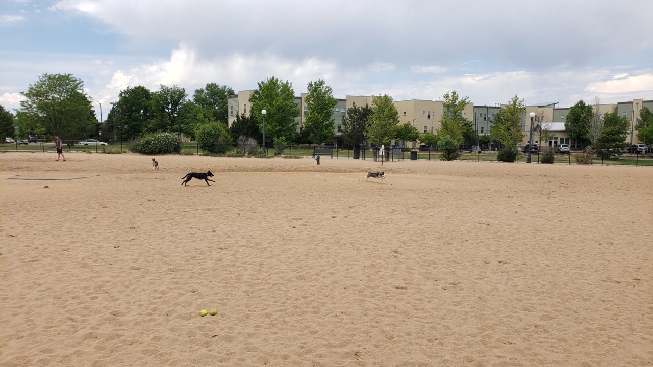 20190616_123855.jpg