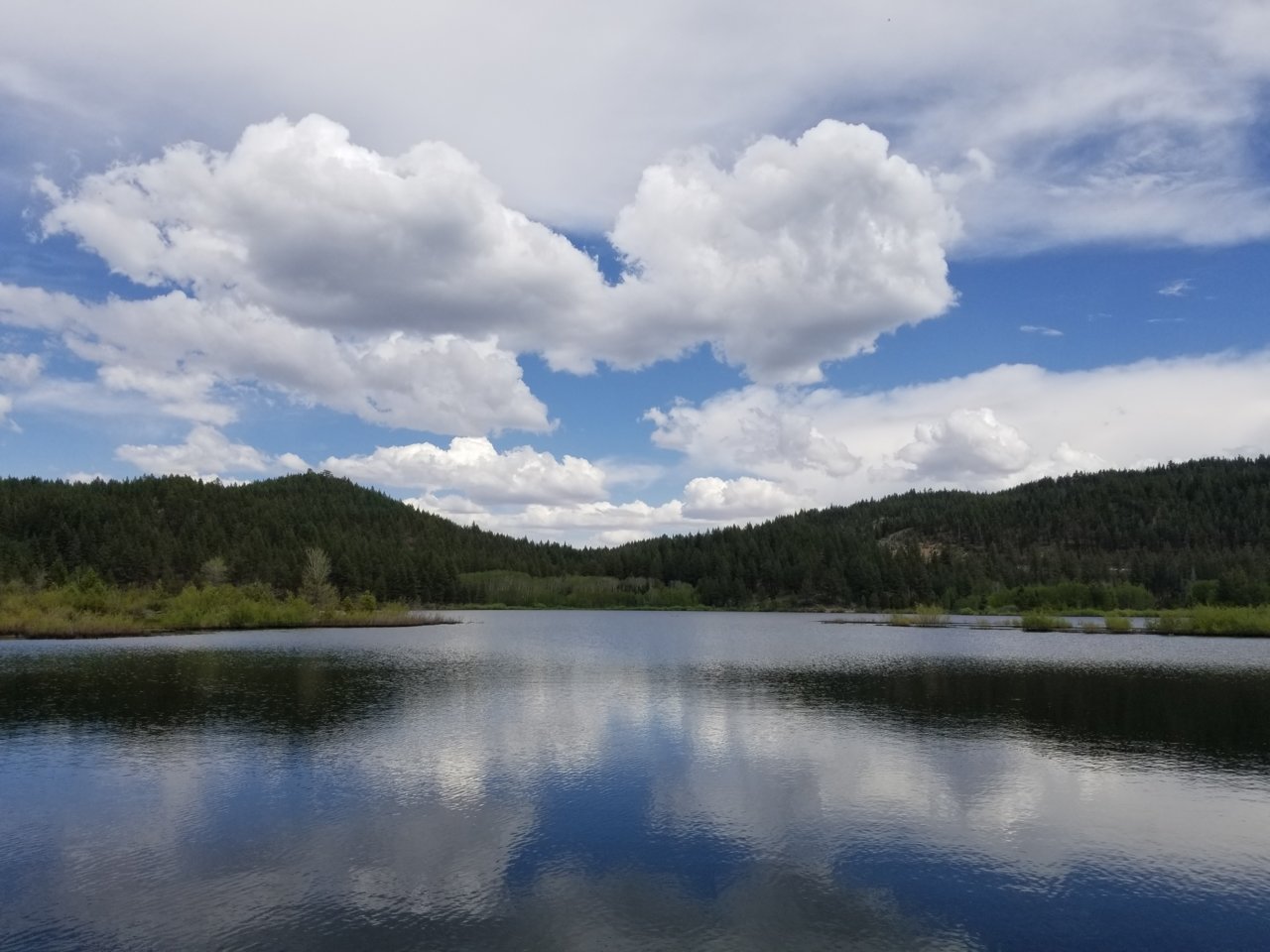 20190616_145638.jpg