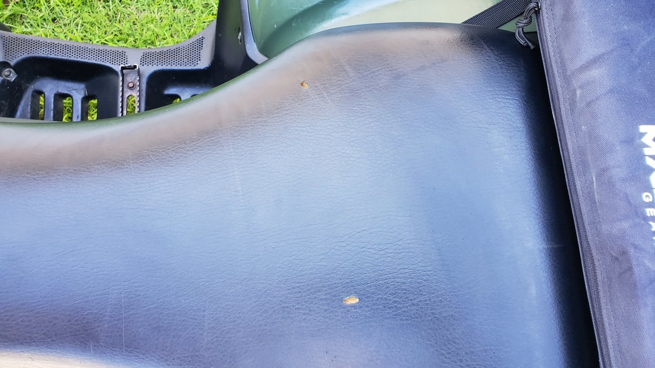 20190616_162249.jpg
