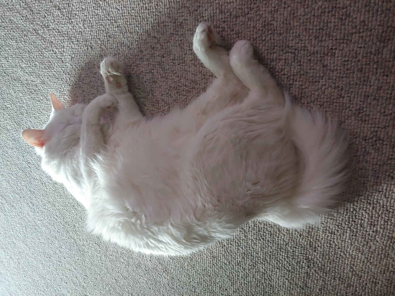 20190616_193457.jpg