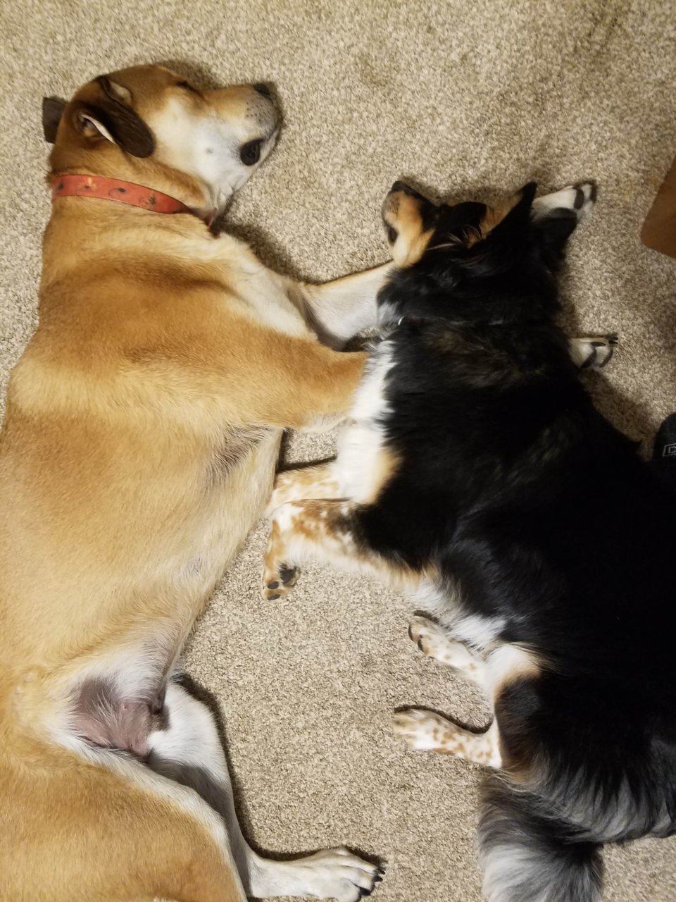 20190616_195825[8560].jpg