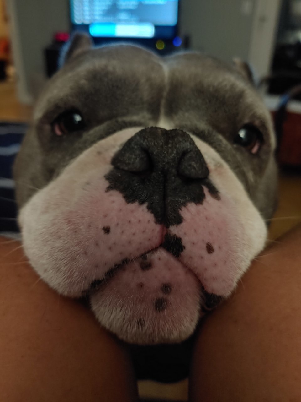20190616_214043_HDR.jpg