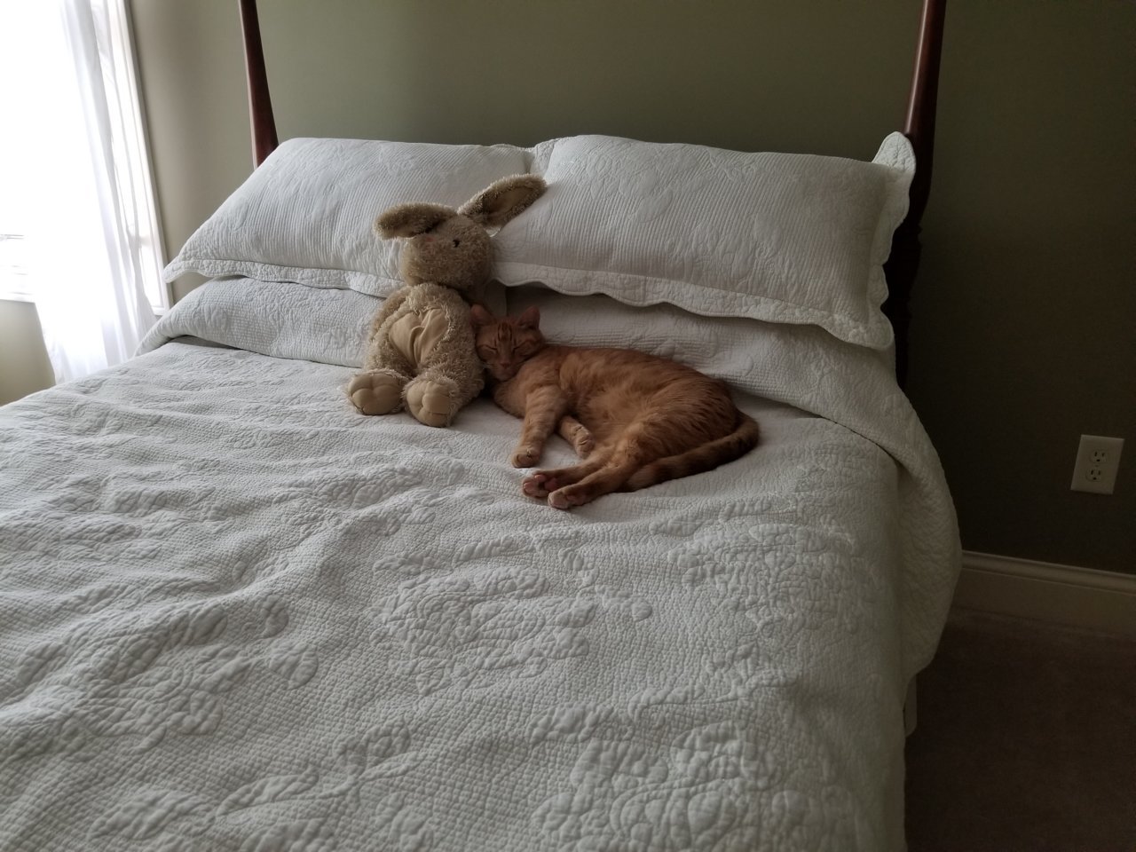 20190617_165829.jpg