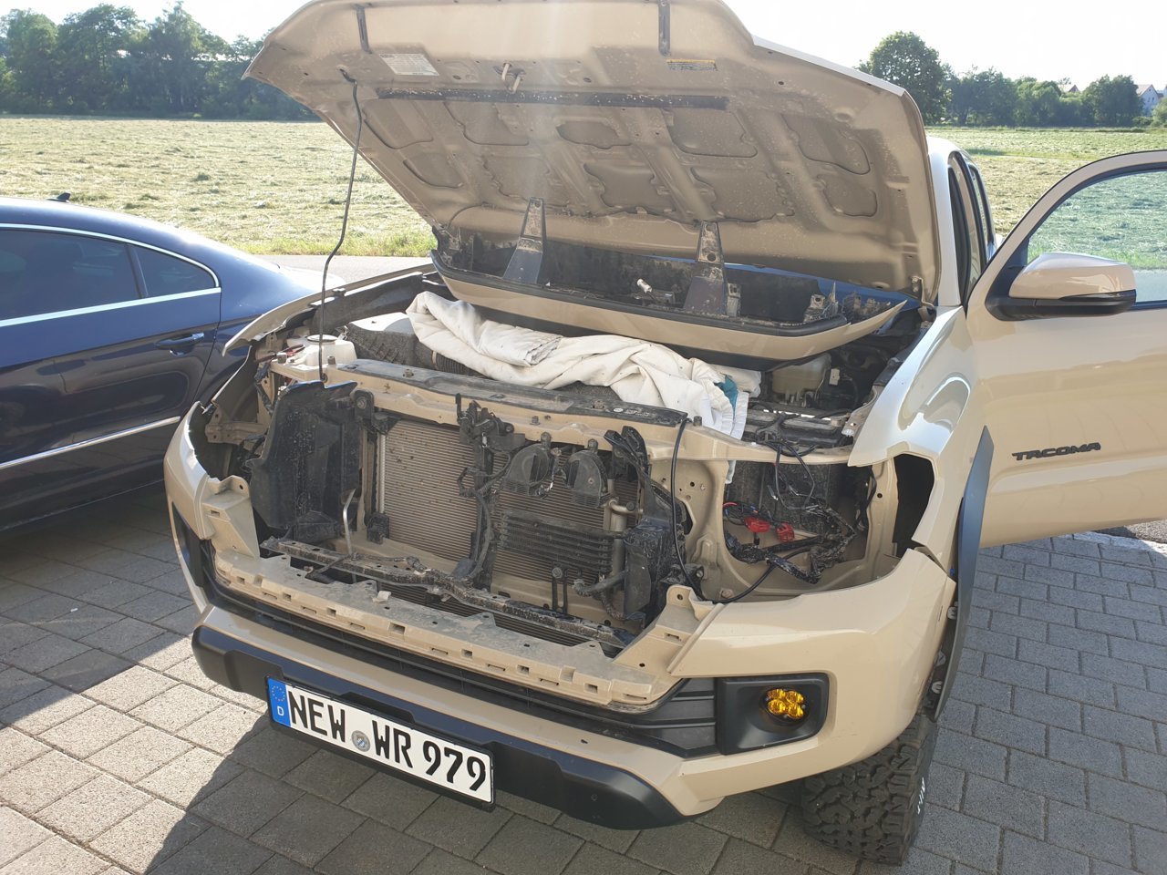 20190617_182743.jpg