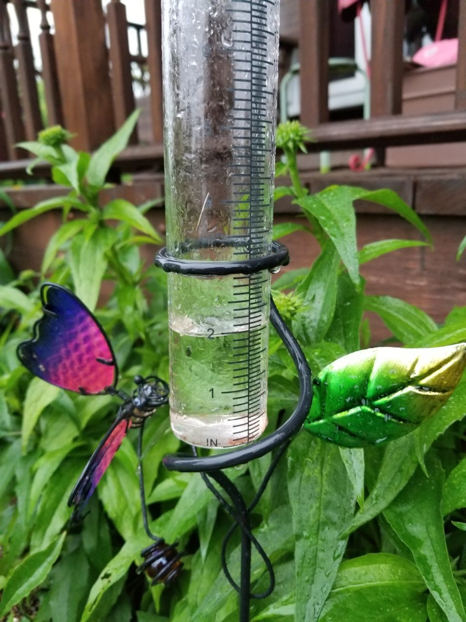 20190618_061304.jpg