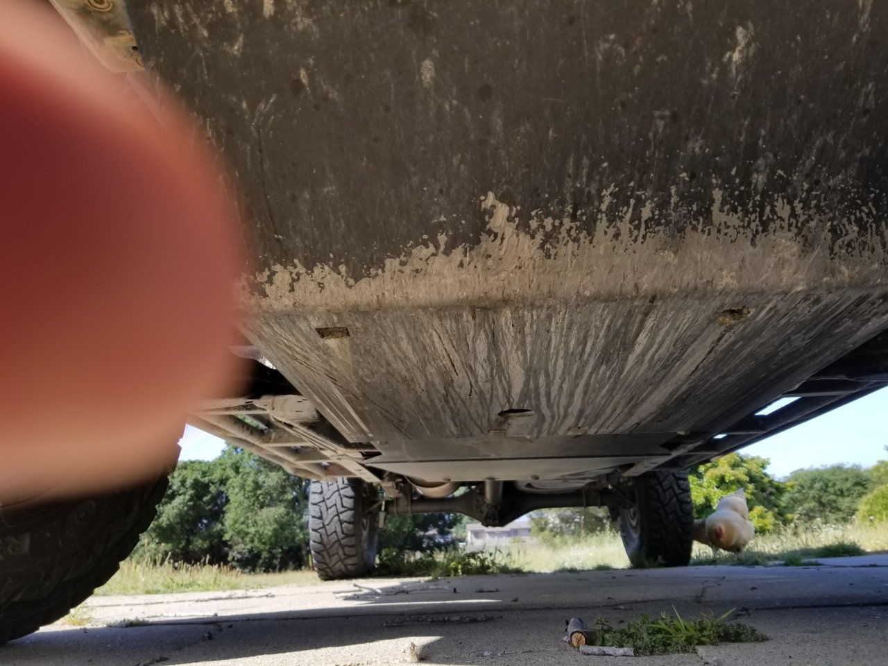 20190618_094631.jpg