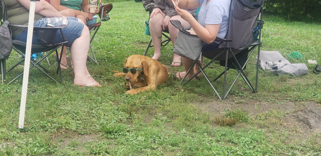 20190618_101719.jpg