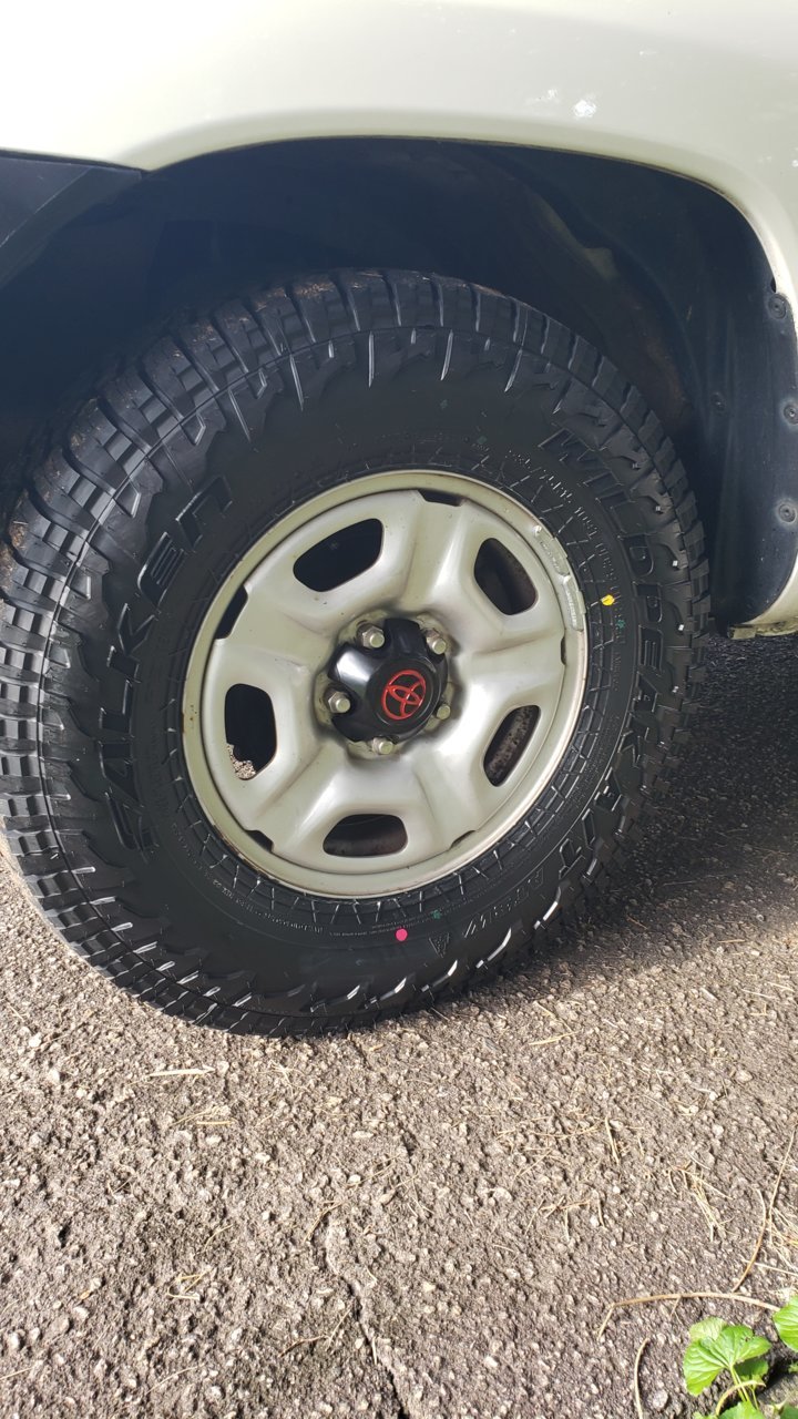 20190618_175518.jpg