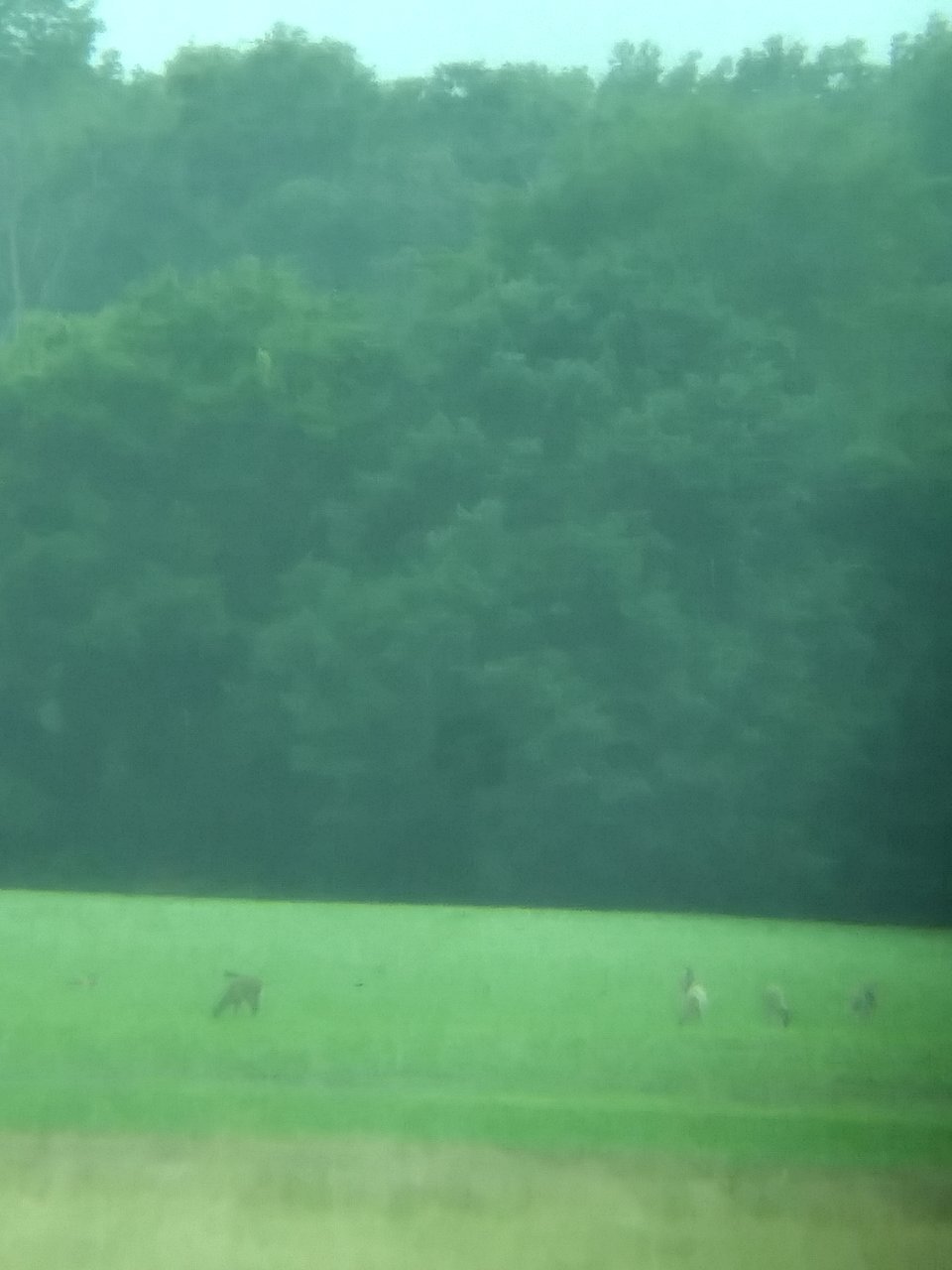 20190618_175646_HDR.jpg