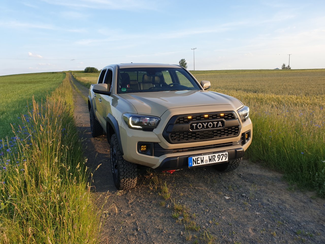 20190618_200427.jpg