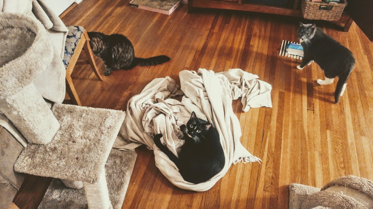 20190618_205551~2.jpg