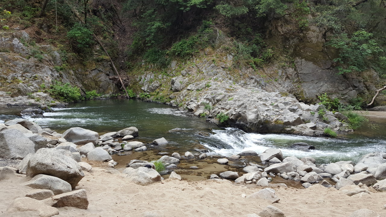 20190619_120052.jpg