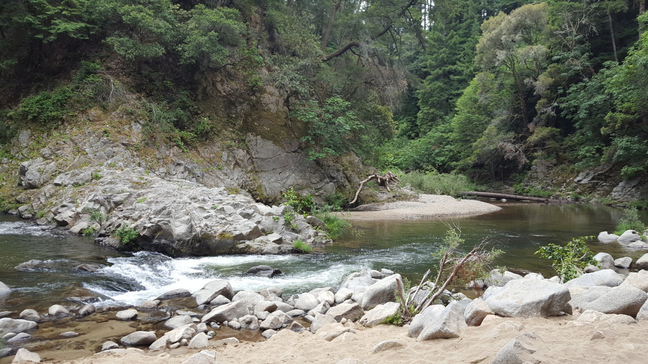 20190619_120055.jpg