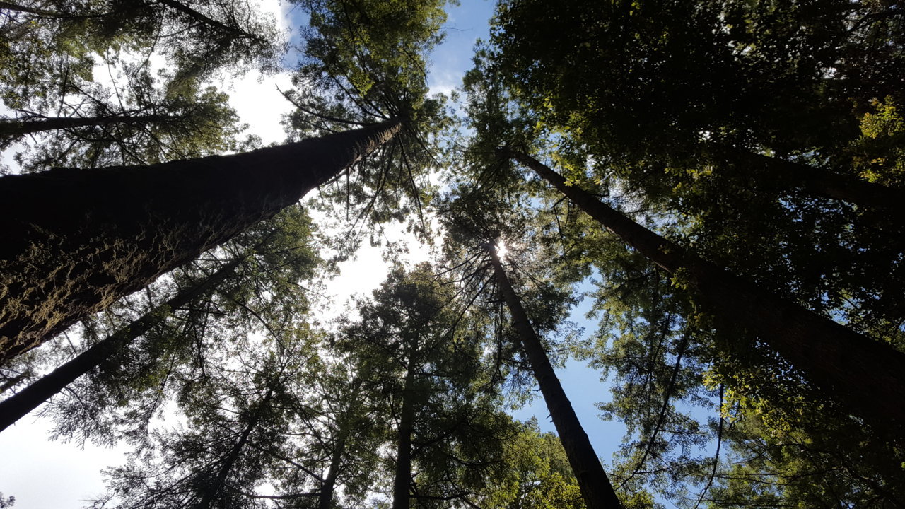 20190619_125254.jpg