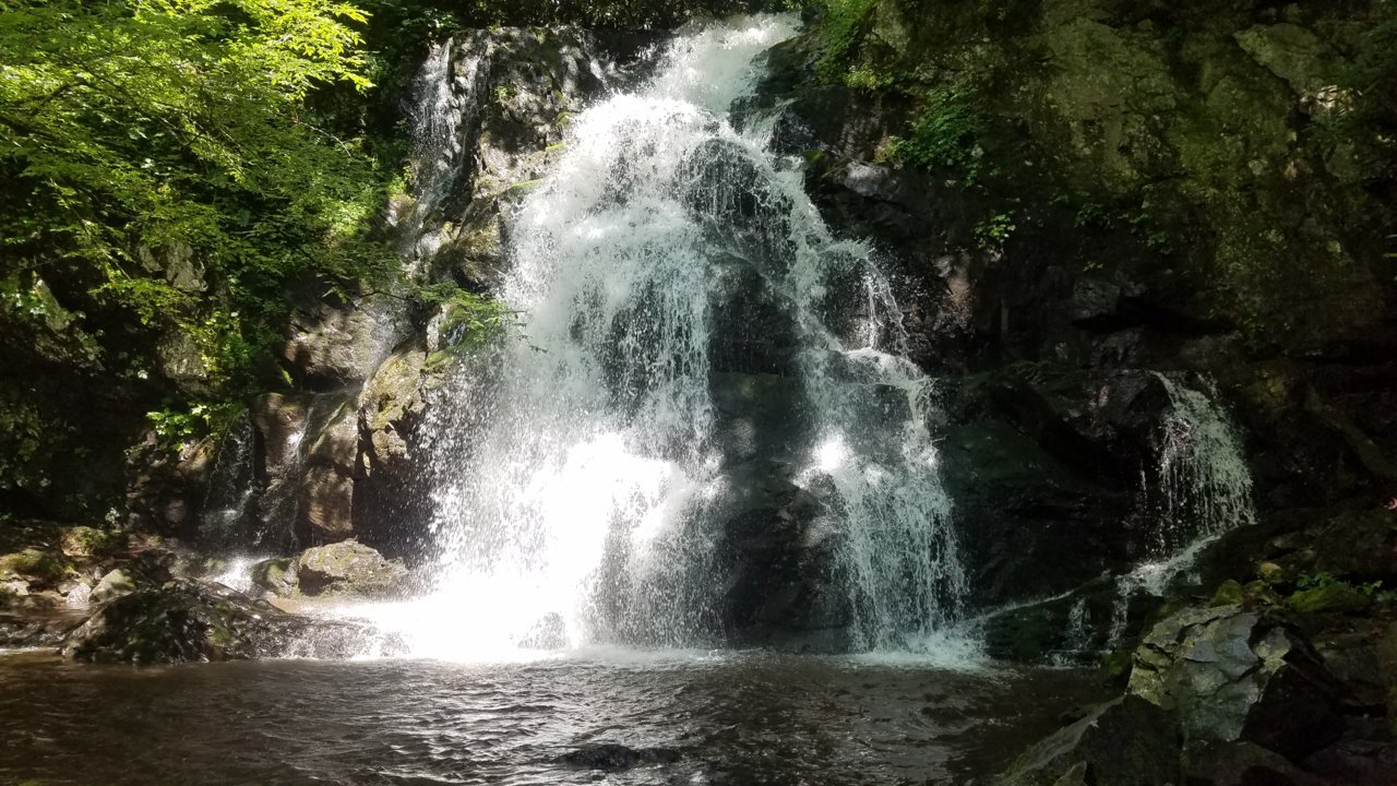 20190619_152715.jpg