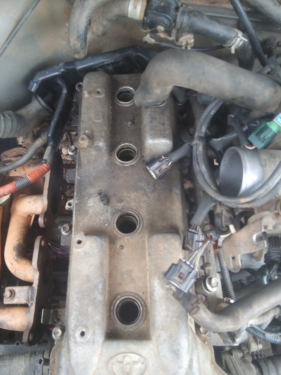 20190620_103002.jpg