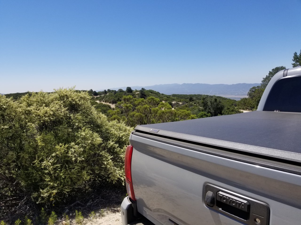 20190620_105410.jpg