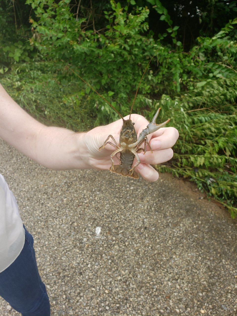 20190620_110022.jpg