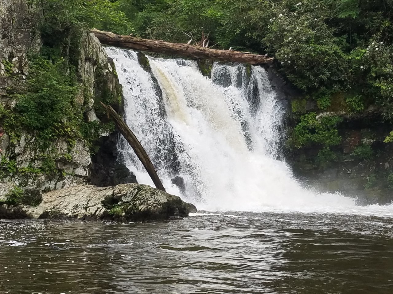 20190620_113504.jpg