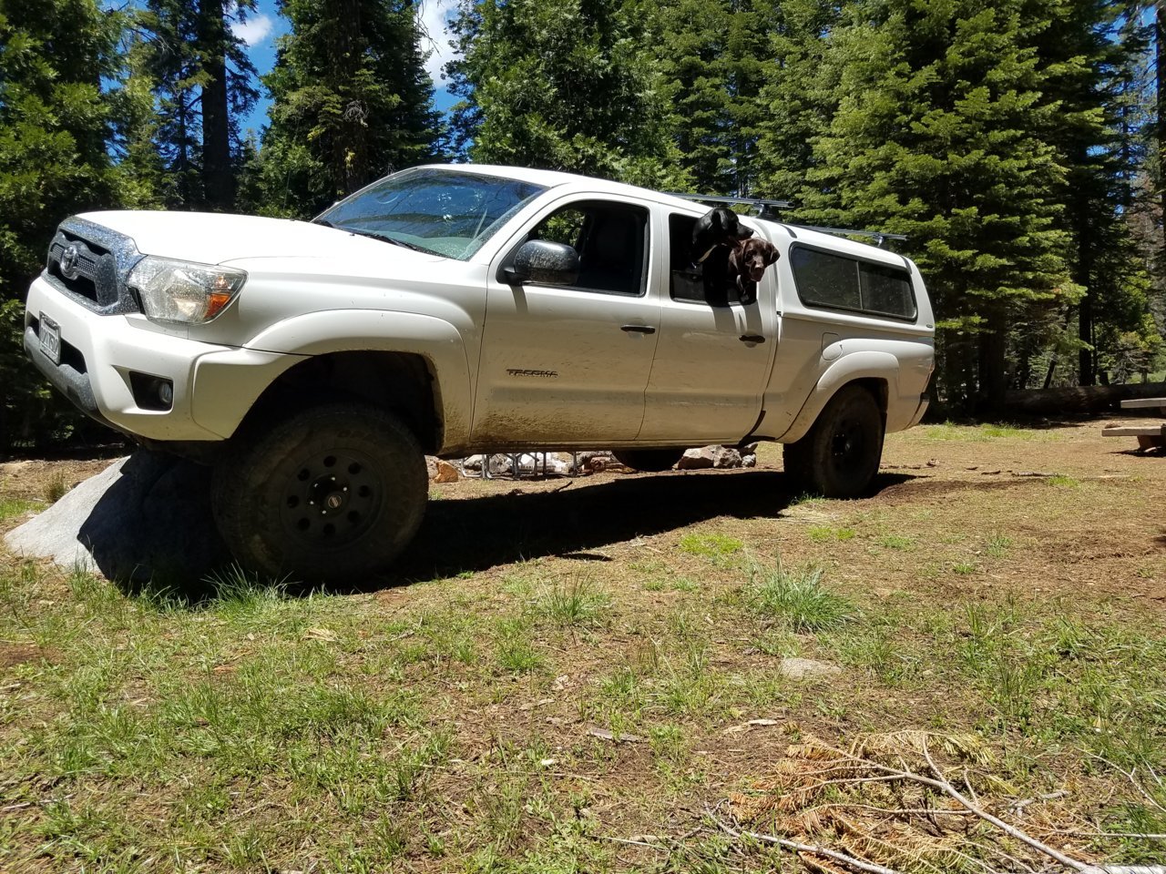 20190620_124814.jpg