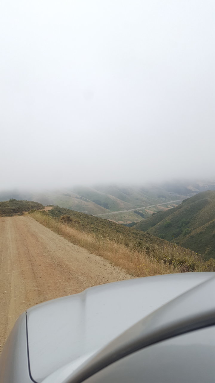 20190620_152624.jpg