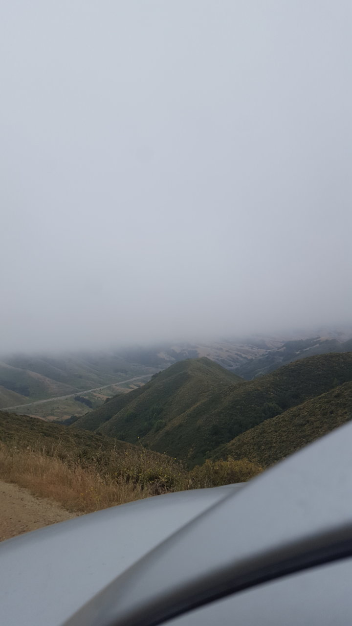 20190620_152630.jpg