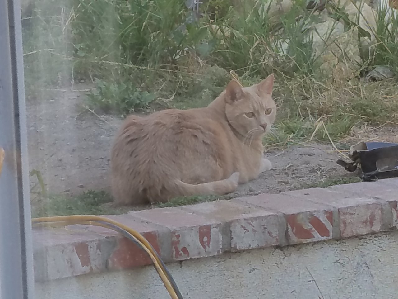 20190620_172620.jpg