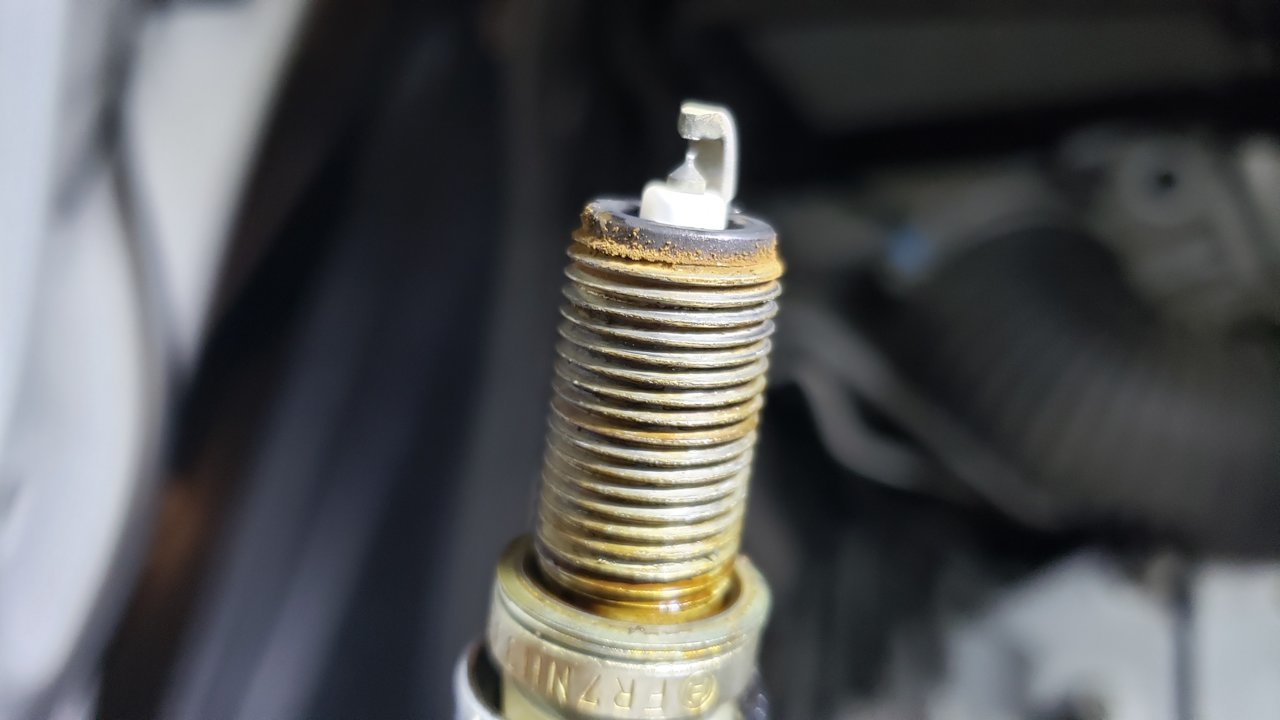 20190621_085201.jpg