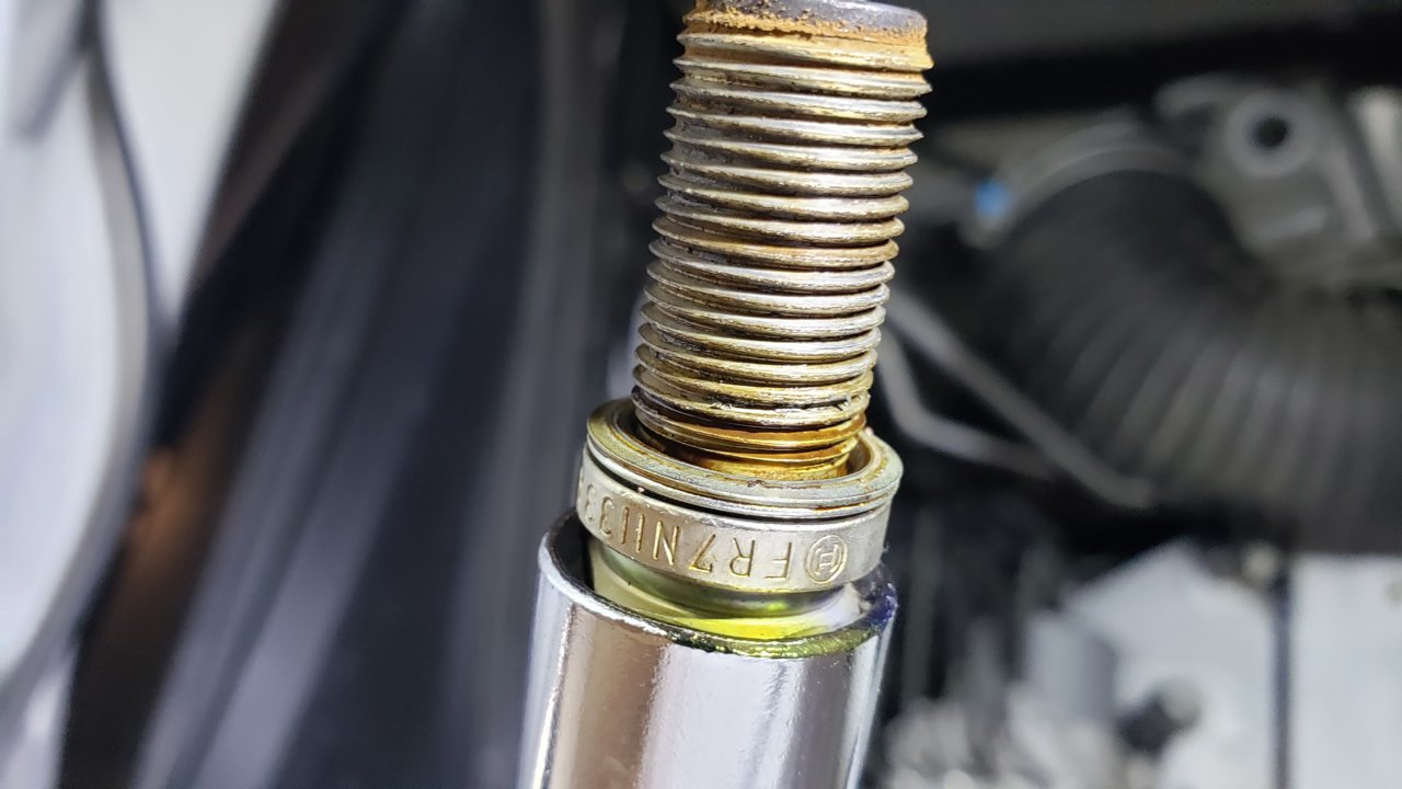 20190621_085204.jpg