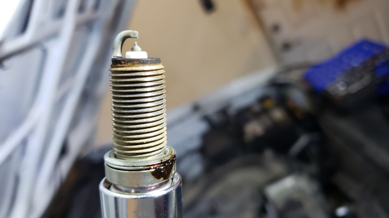 20190621_092119.jpg