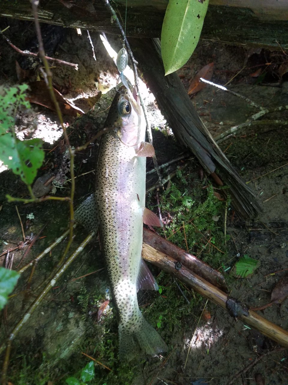 20190621_102908.jpg