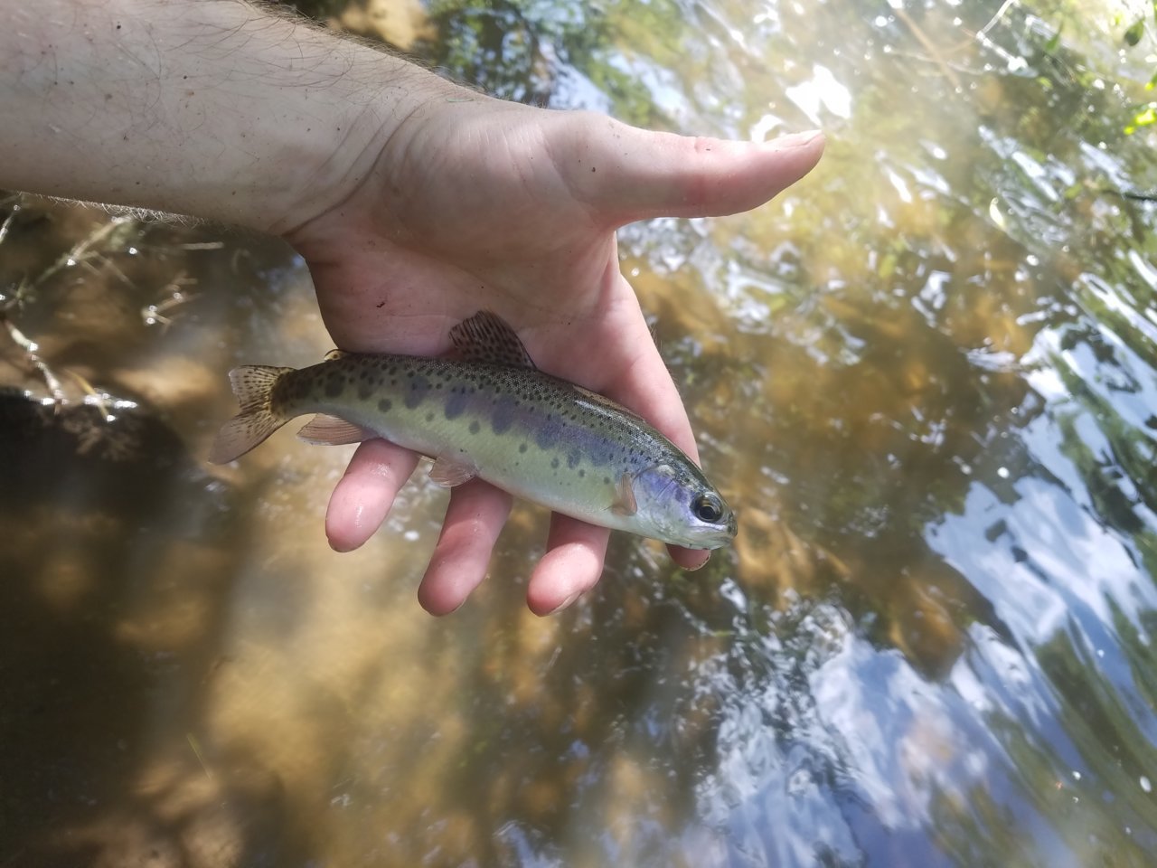 20190621_104051.jpg