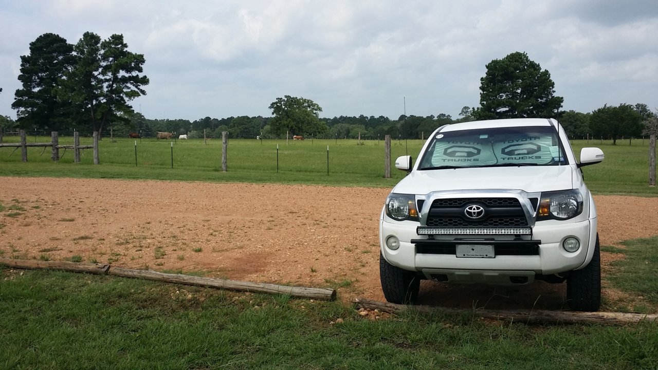 20190621_110002.jpg