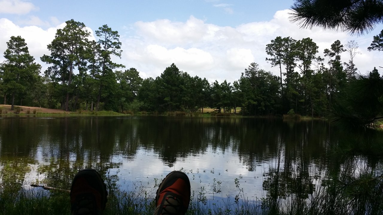 20190621_155638.jpg