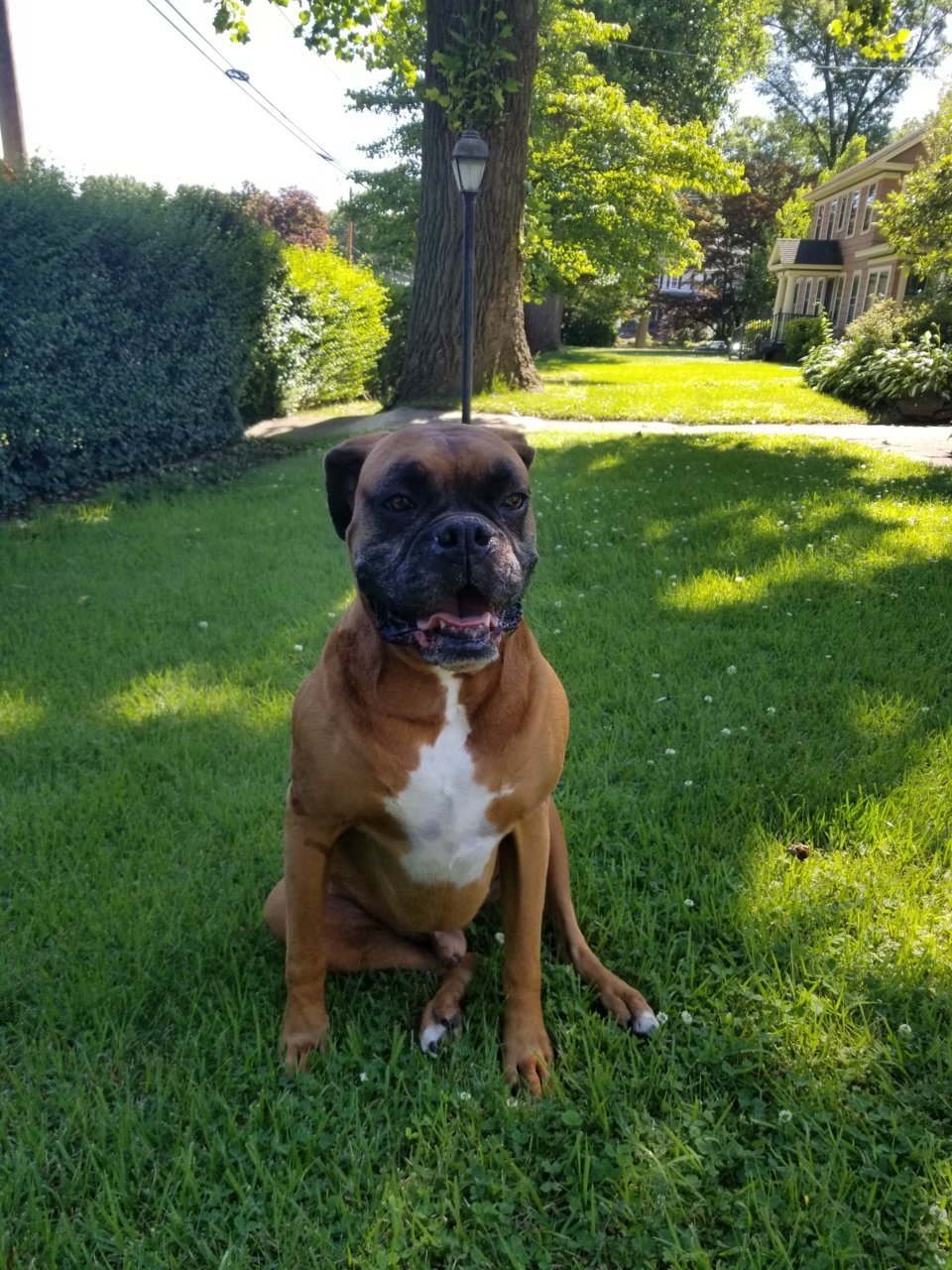 20190622_094907.jpg