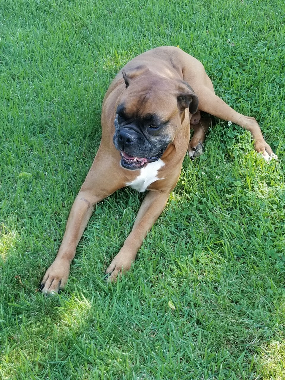 20190622_095014.jpg