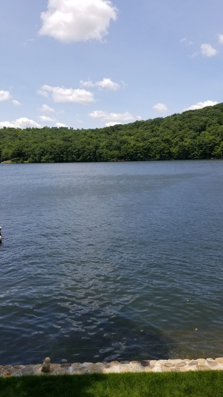 20190622_122242.jpg