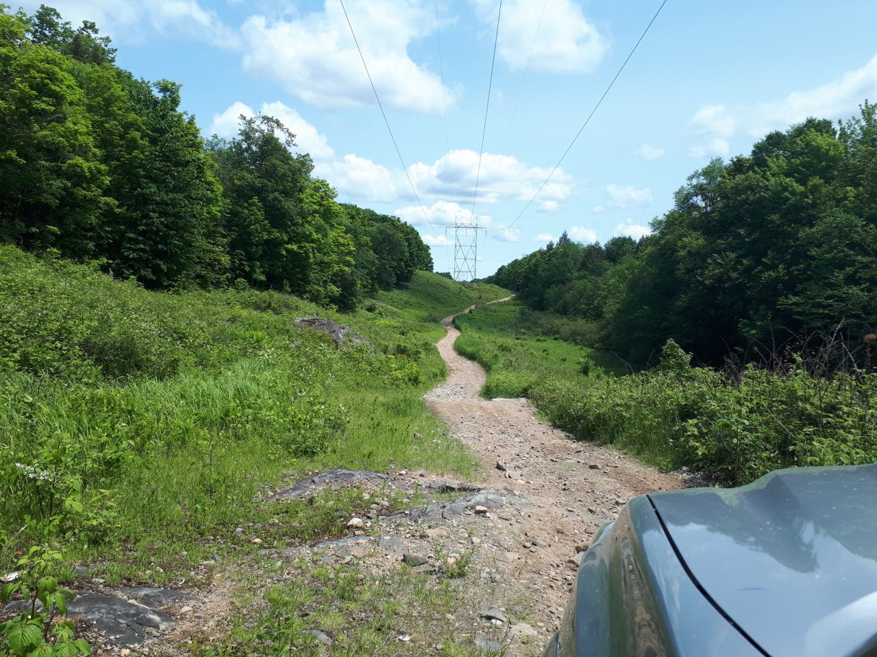 20190622_122937.jpg