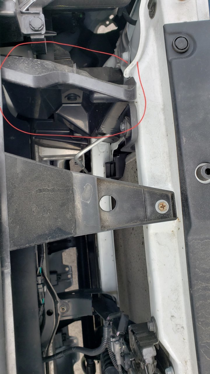 20190622_152337.jpg