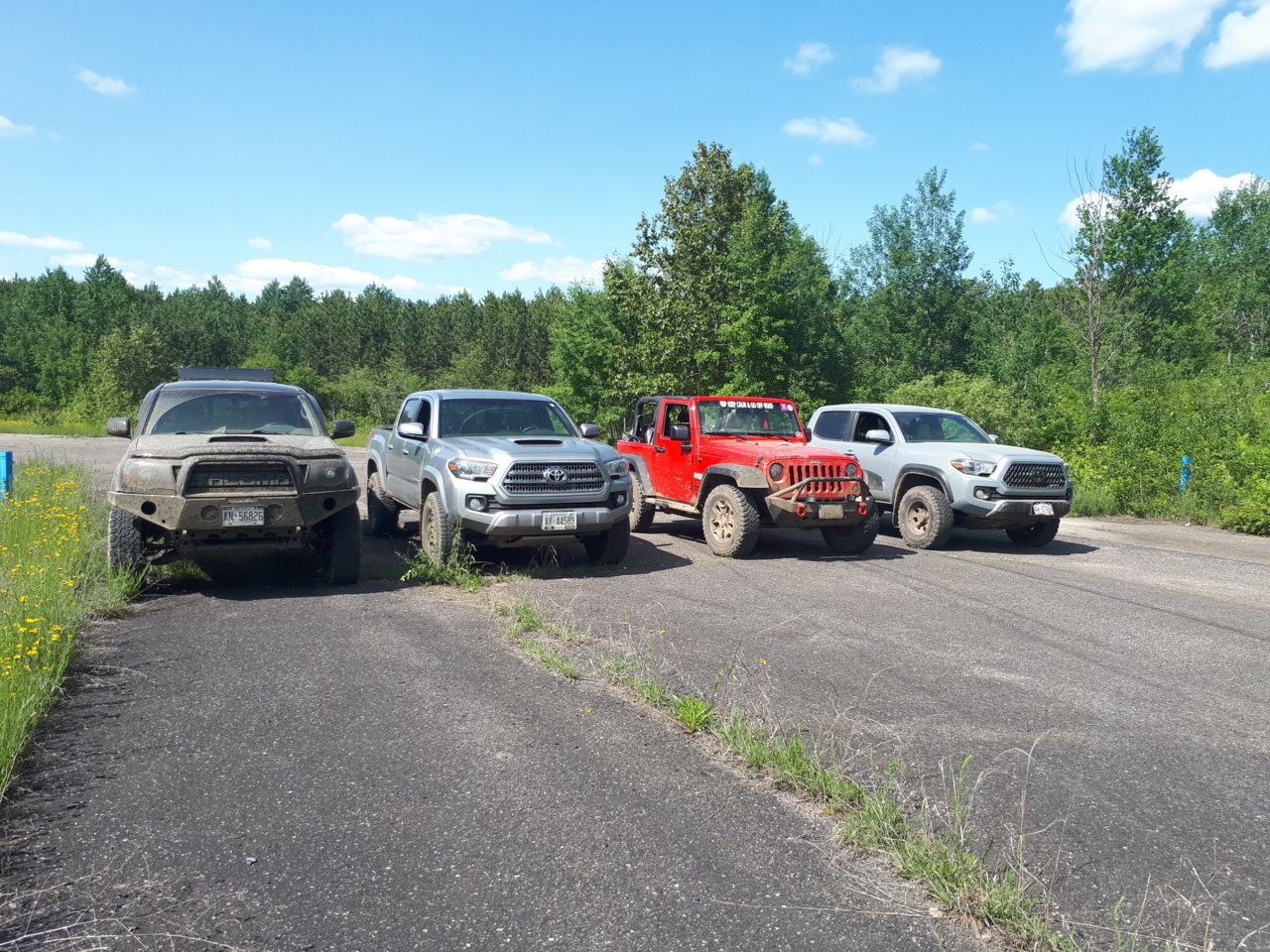 20190622_160538.jpg