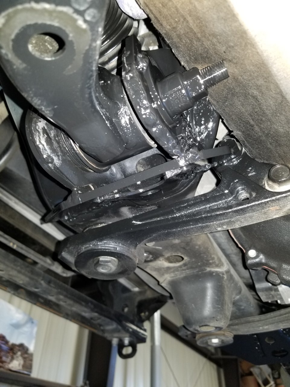 20190622_184230.jpg
