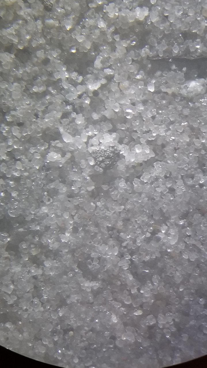 20190622_195257.jpg