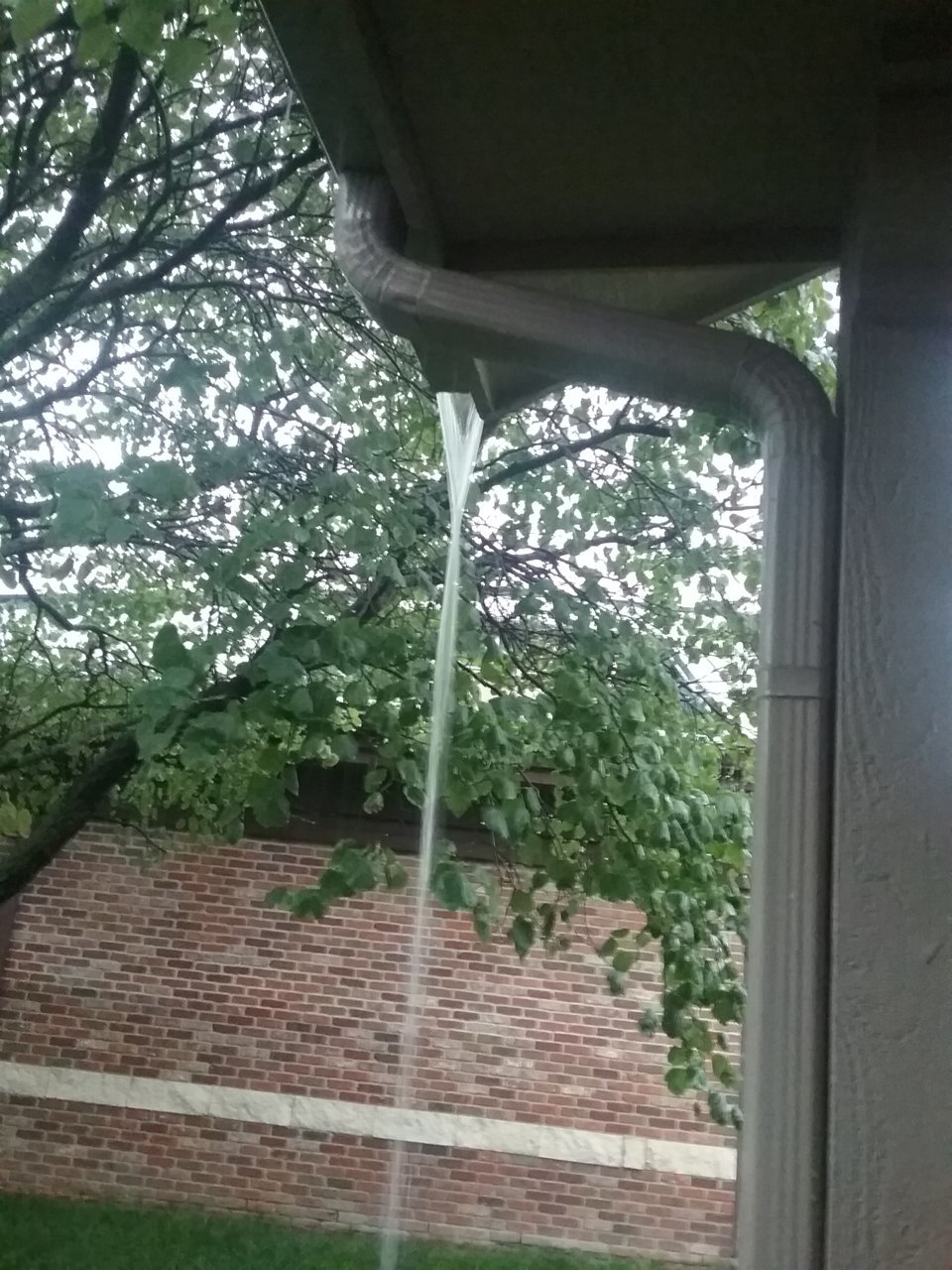 20190623_070742.jpg