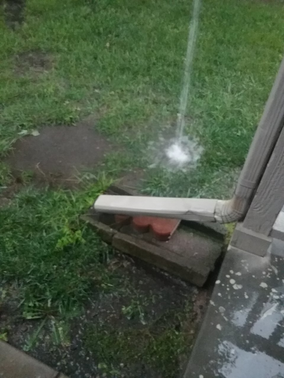 20190623_070752.jpg