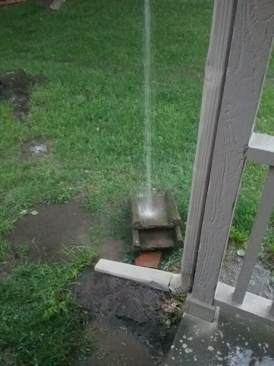20190623_071032.jpg