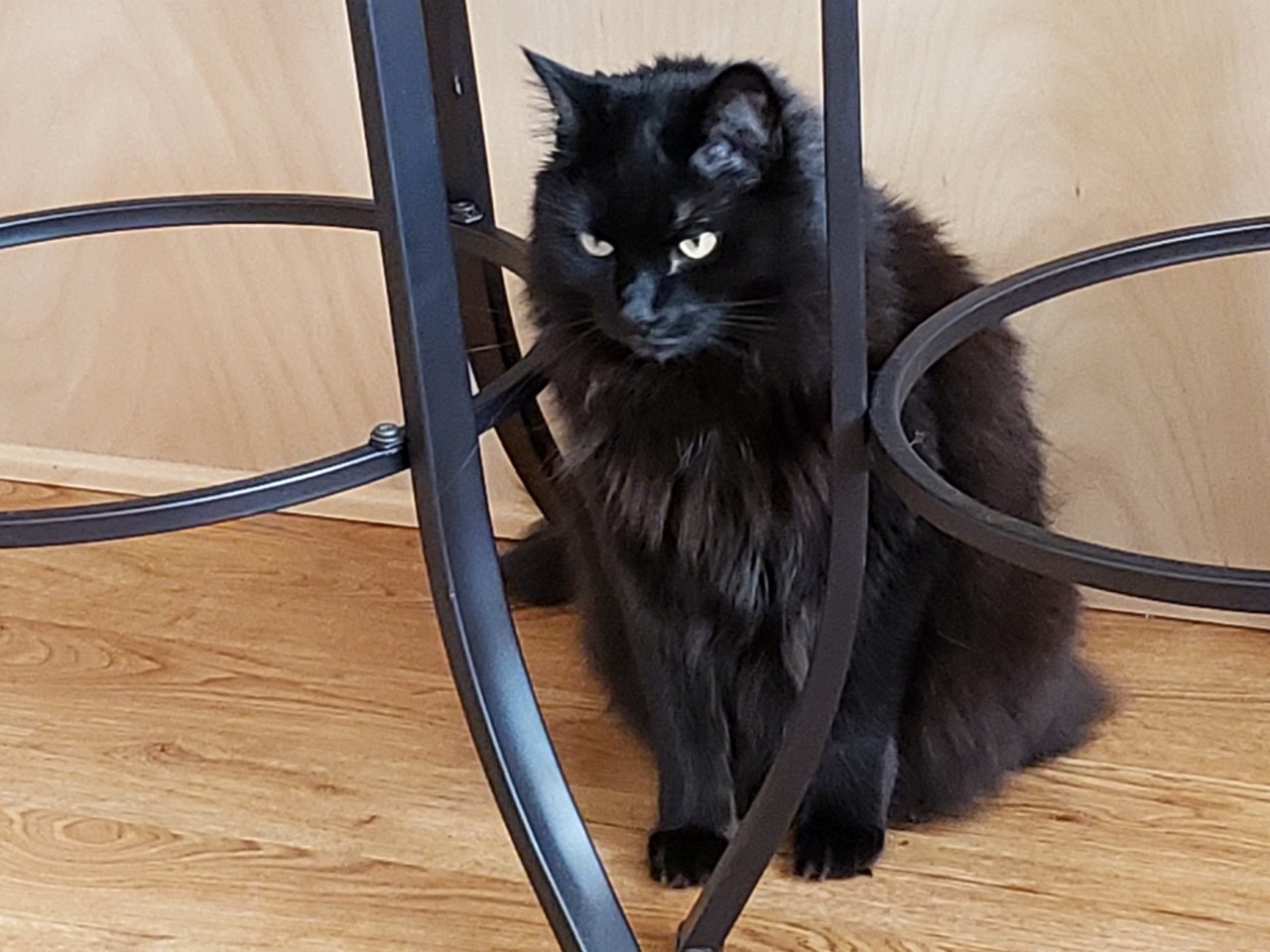 20190623_093529.jpg