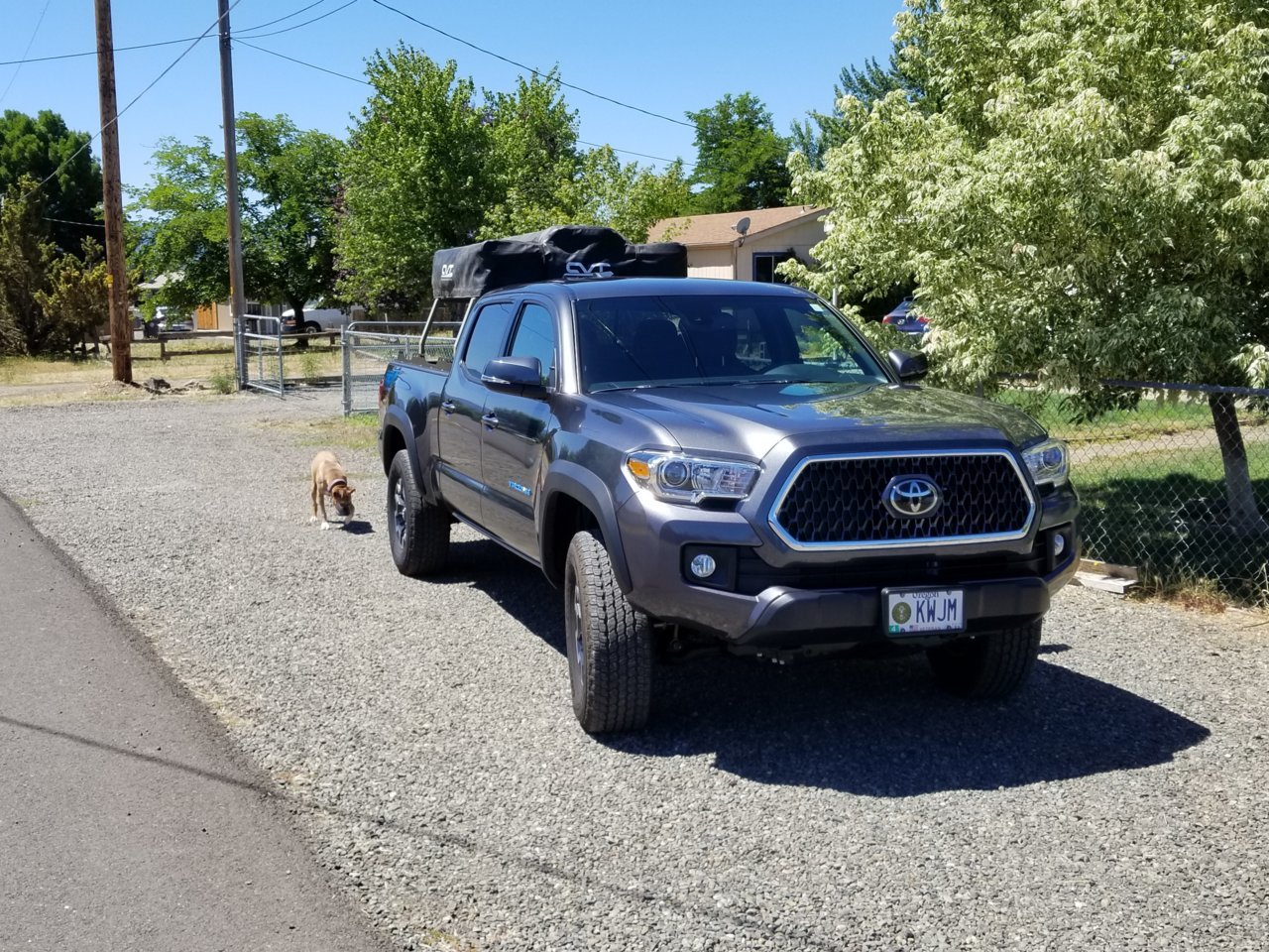 20190623_114345.jpg