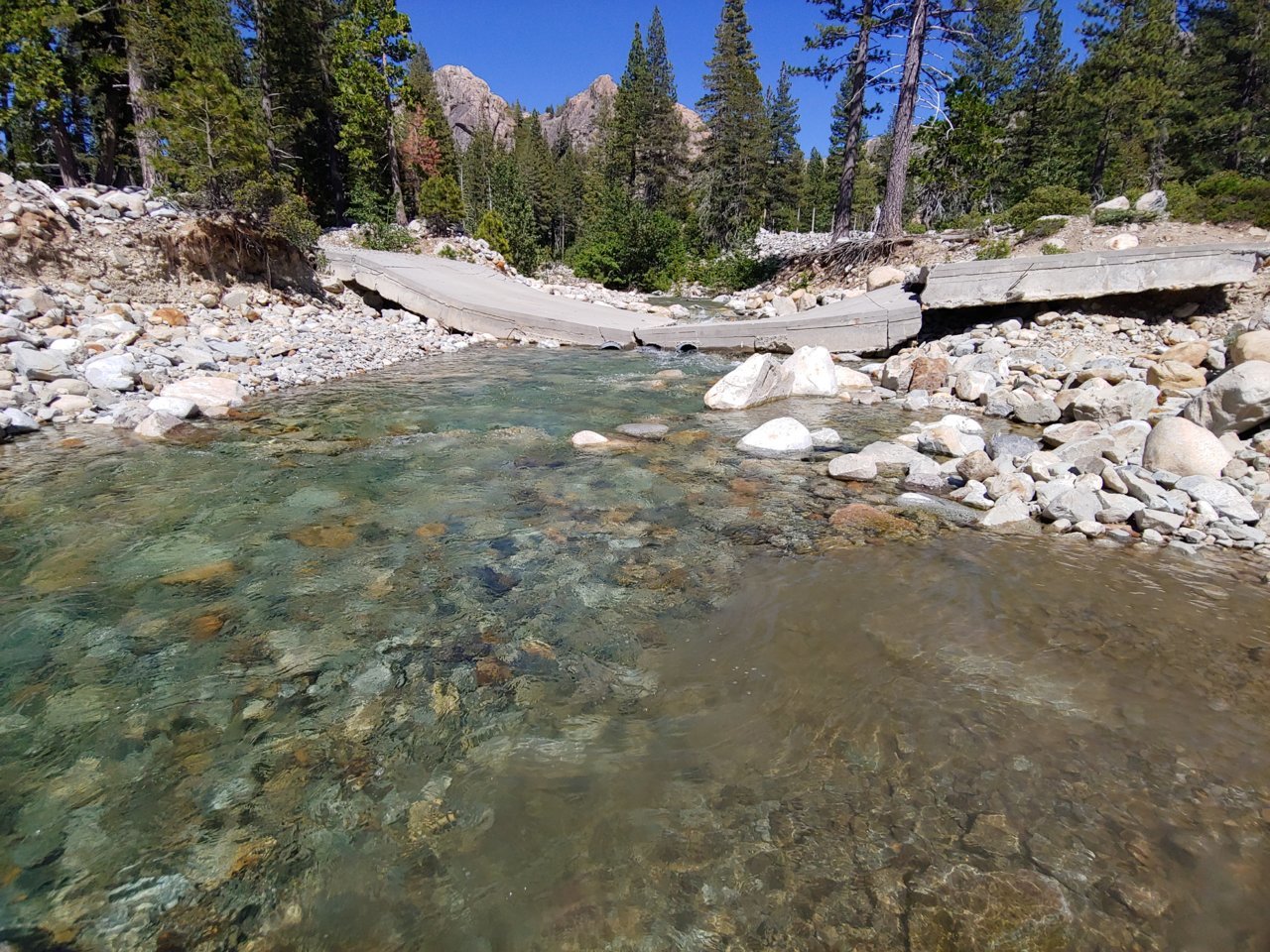 20190623_152516.jpg
