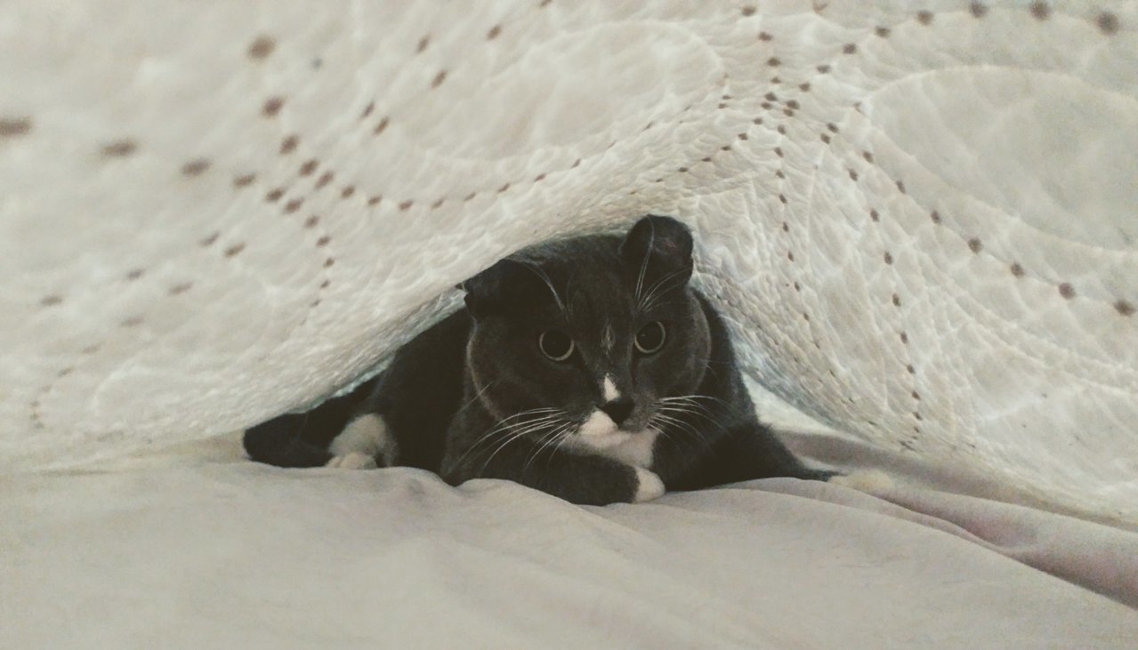20190623_170420~2.jpg