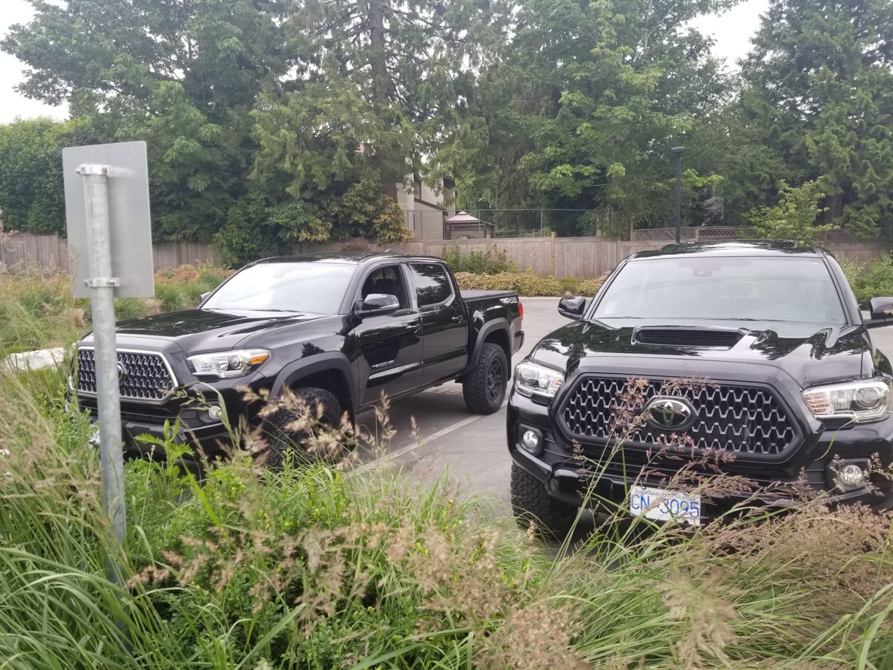 20190623_172152.jpg